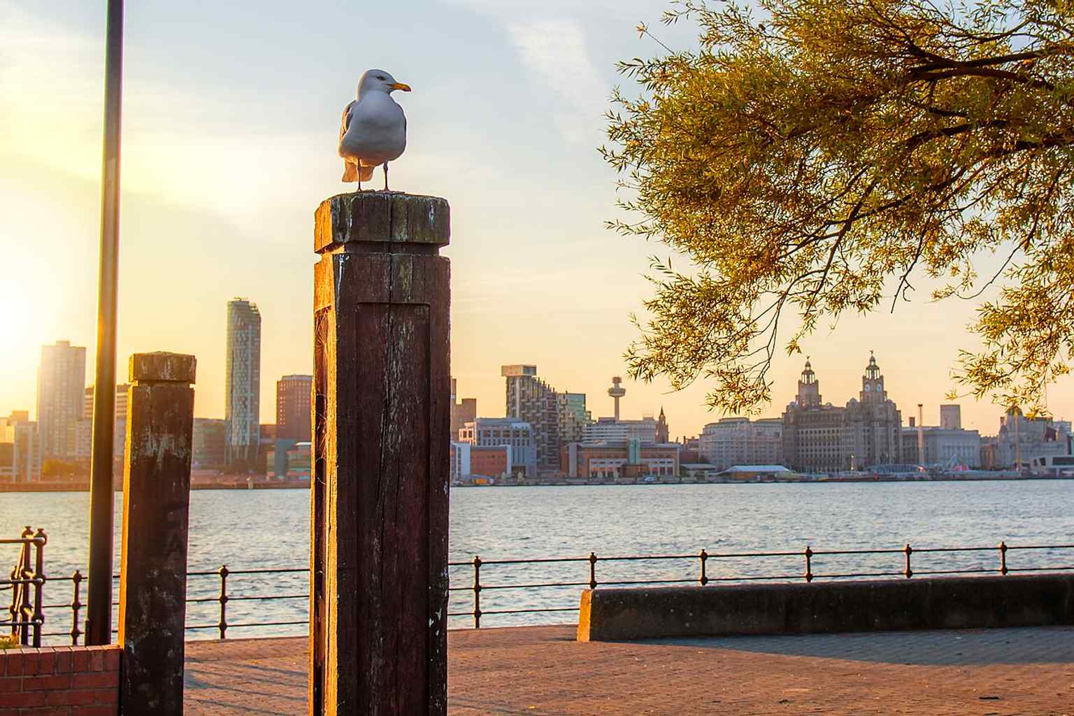 Seen across the Mersey, this wider river view highlights the building’s commanding waterfront position and its role as a city landmark.