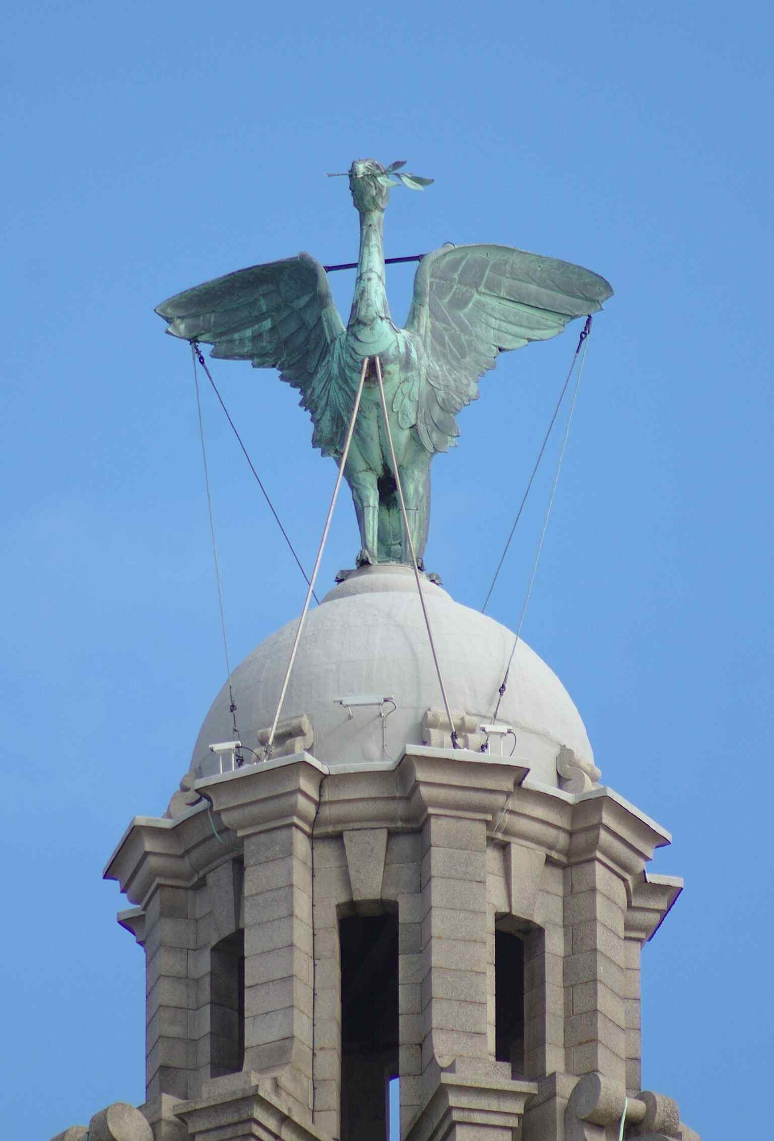 Bella the Liver Bird looks out over the Mersey — part of the pair of birds that have become symbols of Liverpool itself.