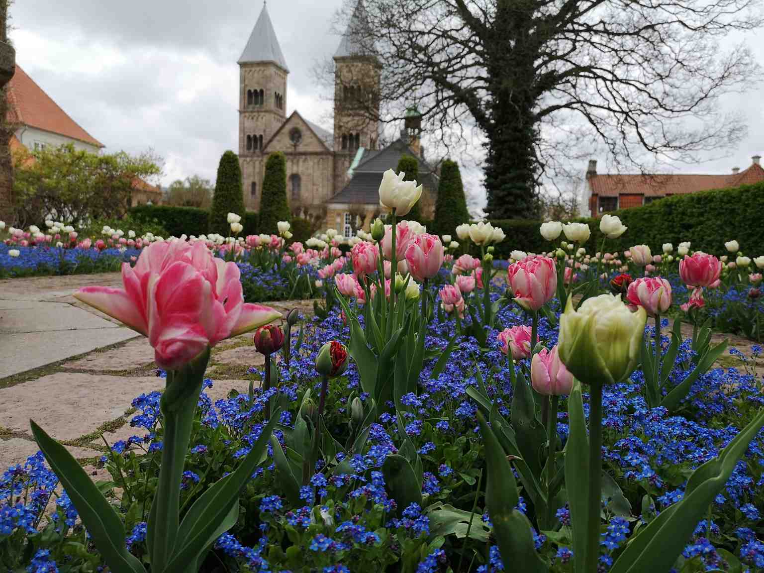 Viborg Audio Tours