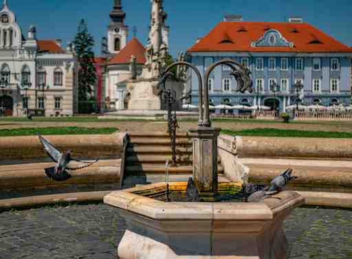 Timisoara