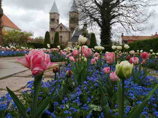 Viborg