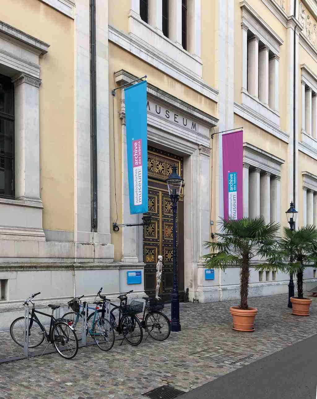 Museum of Natural History Basel