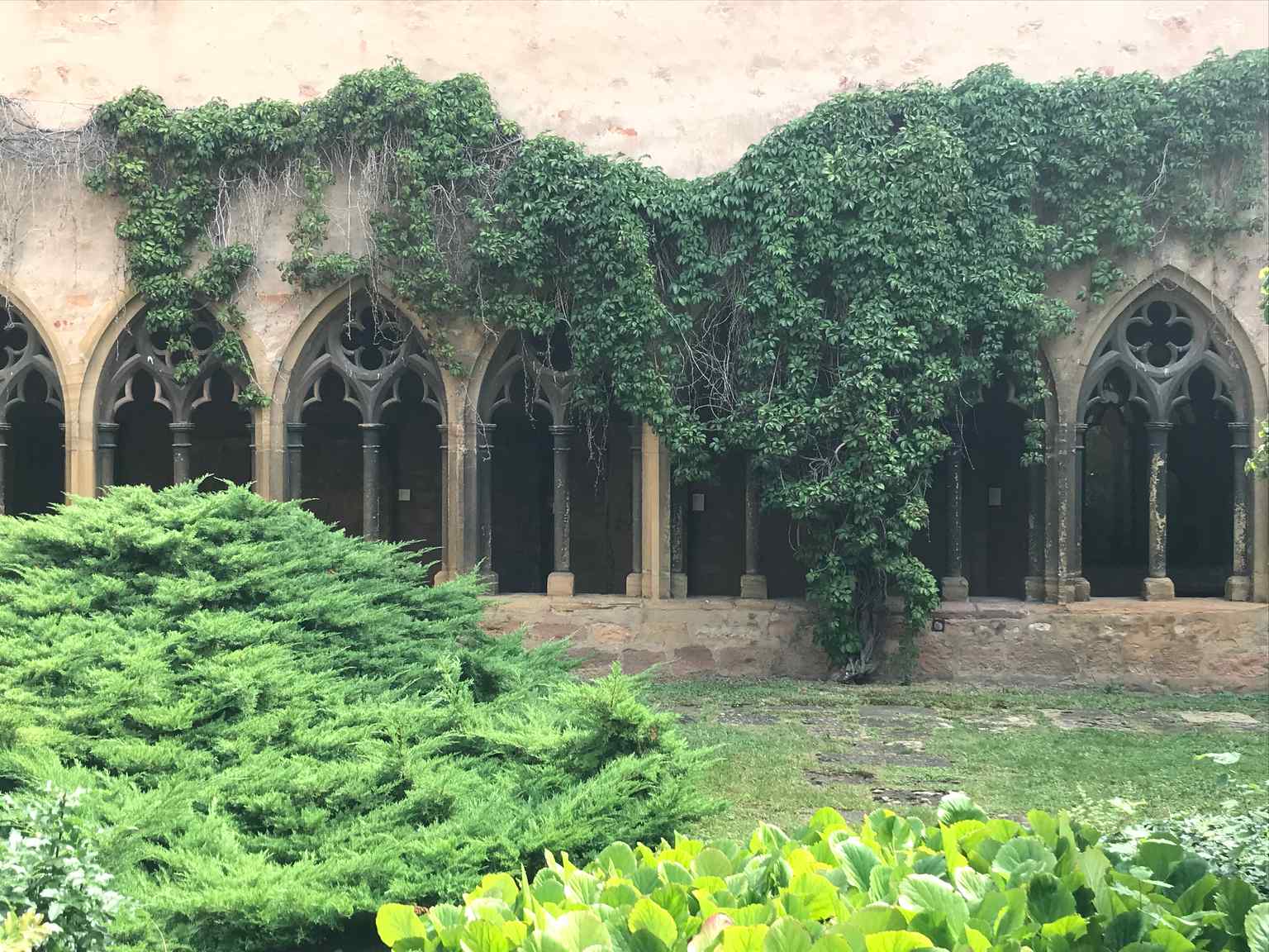 Cloître du Musée Unterlinden