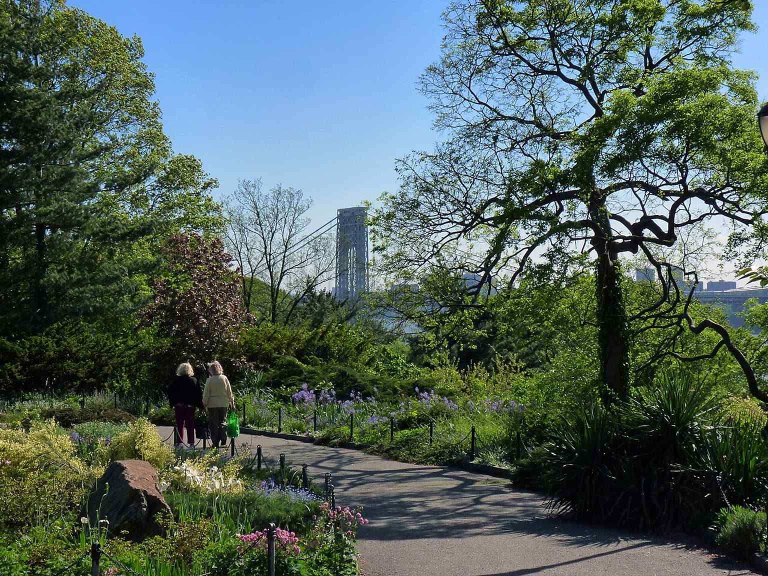 The Heather Garden in bloom, with the George Washington Bridge in the distance — one of the park’s signature scenic views.