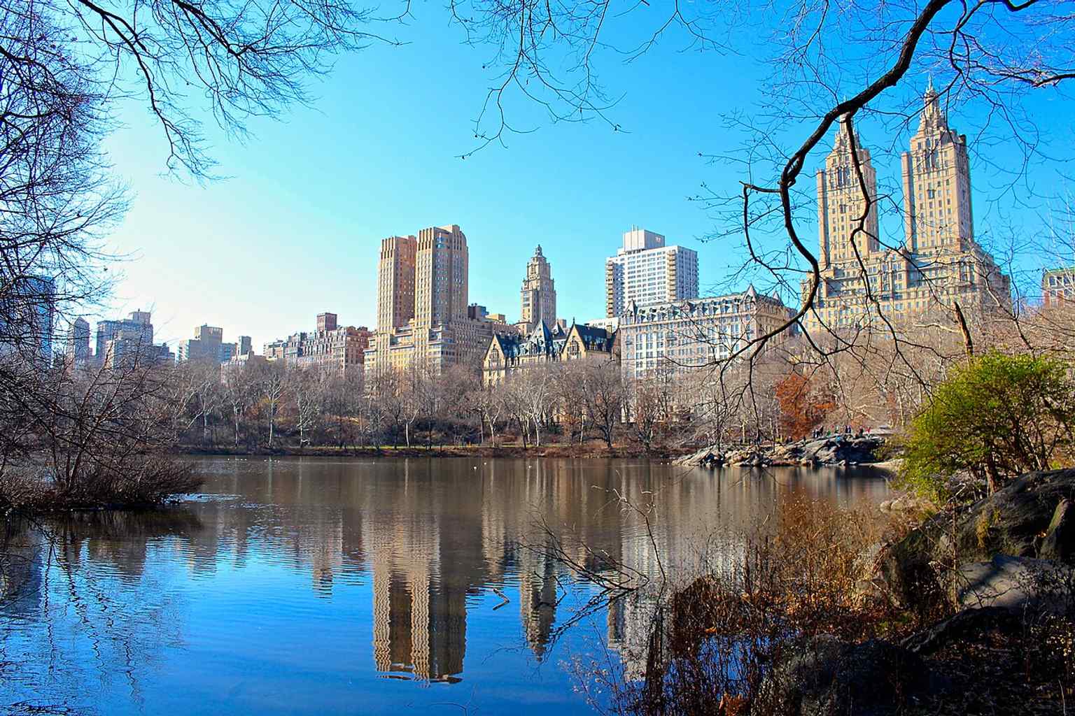 A reflective view of Central Park West that shows how the avenue’s grand apartment blocks form a cohesive historic streetscape.