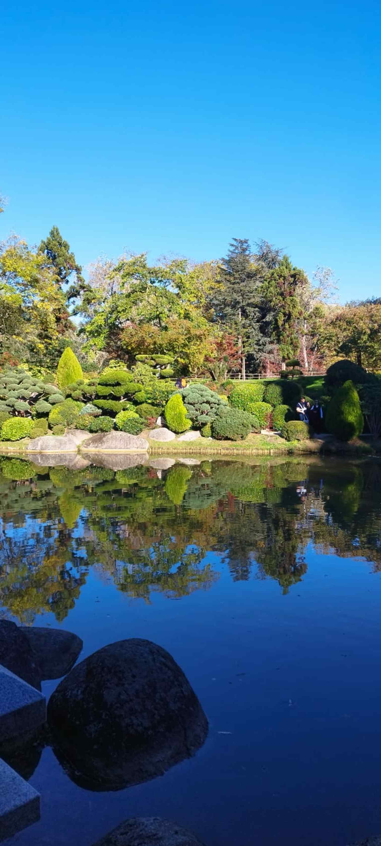 A recent view of the Pierre-Baudis Japanese Garden, whose modern name commemorates the former mayor who launched the Compans-Caffarelli redevelopment.
