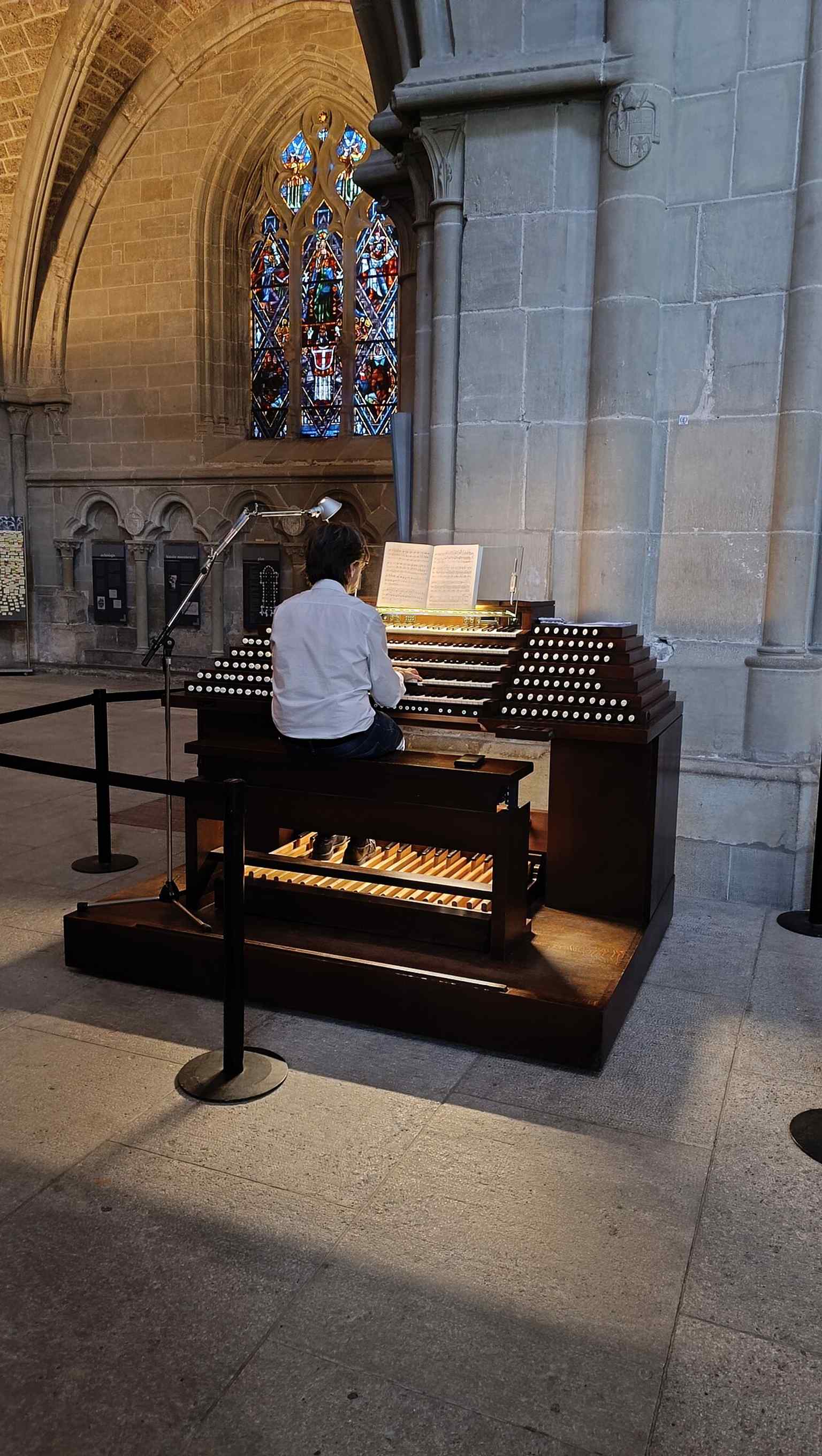 Another organ-cabinet interior view, ideal for showing the cathedral’s nave scale and the modern organ ensemble inside the medieval shell.
