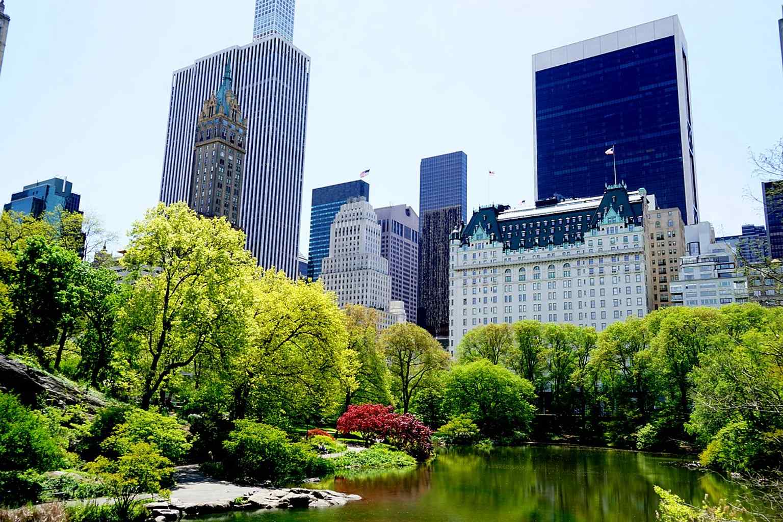 Seen from Central Park, this view captures the Plaza’s famous setting beside the Pond and the park edge that helped define its prestige.