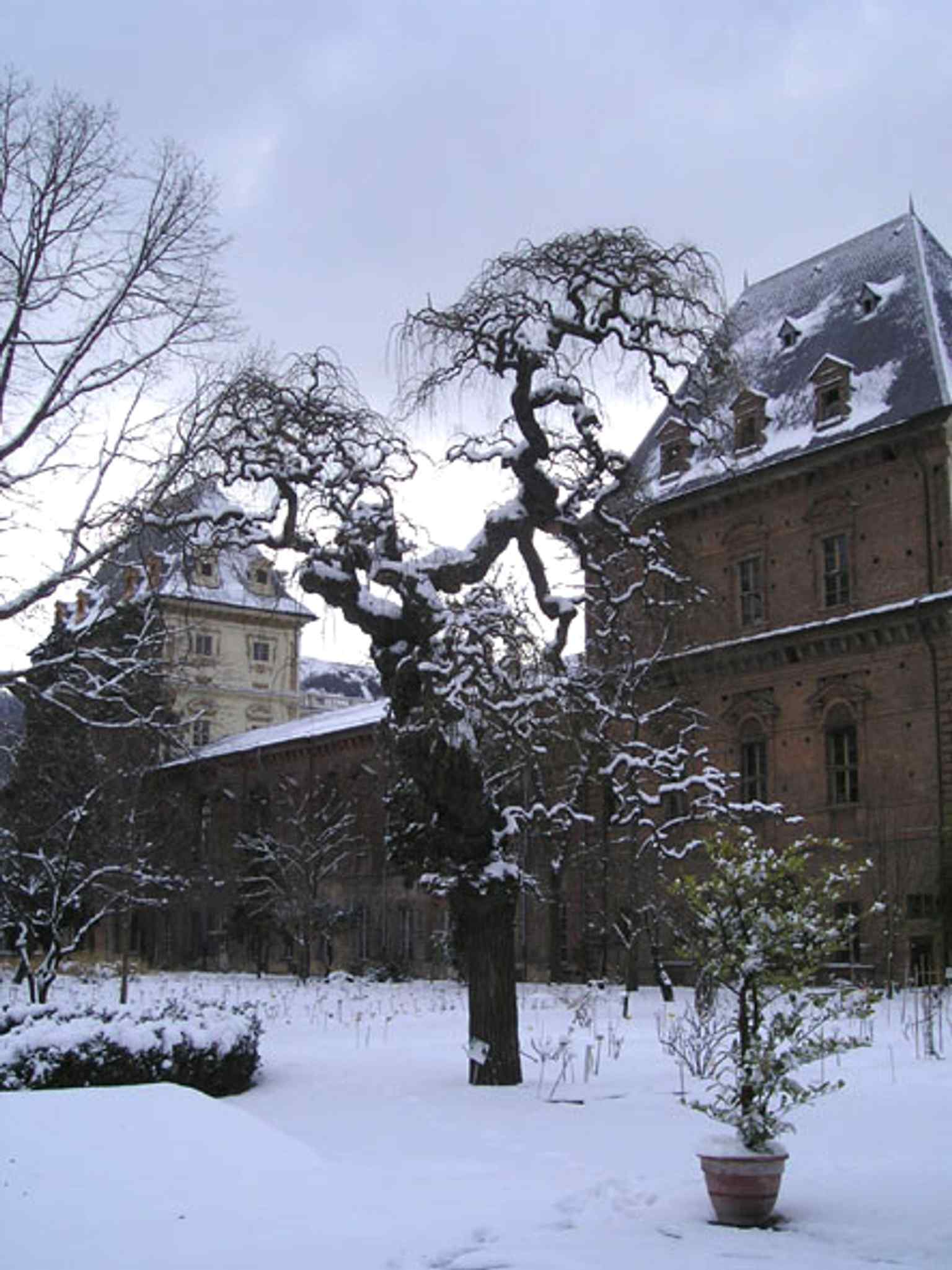 A peaceful view of the Botanical Garden of Turin during the winter, showcasing its grand architecture behind the mature trees. (2004)