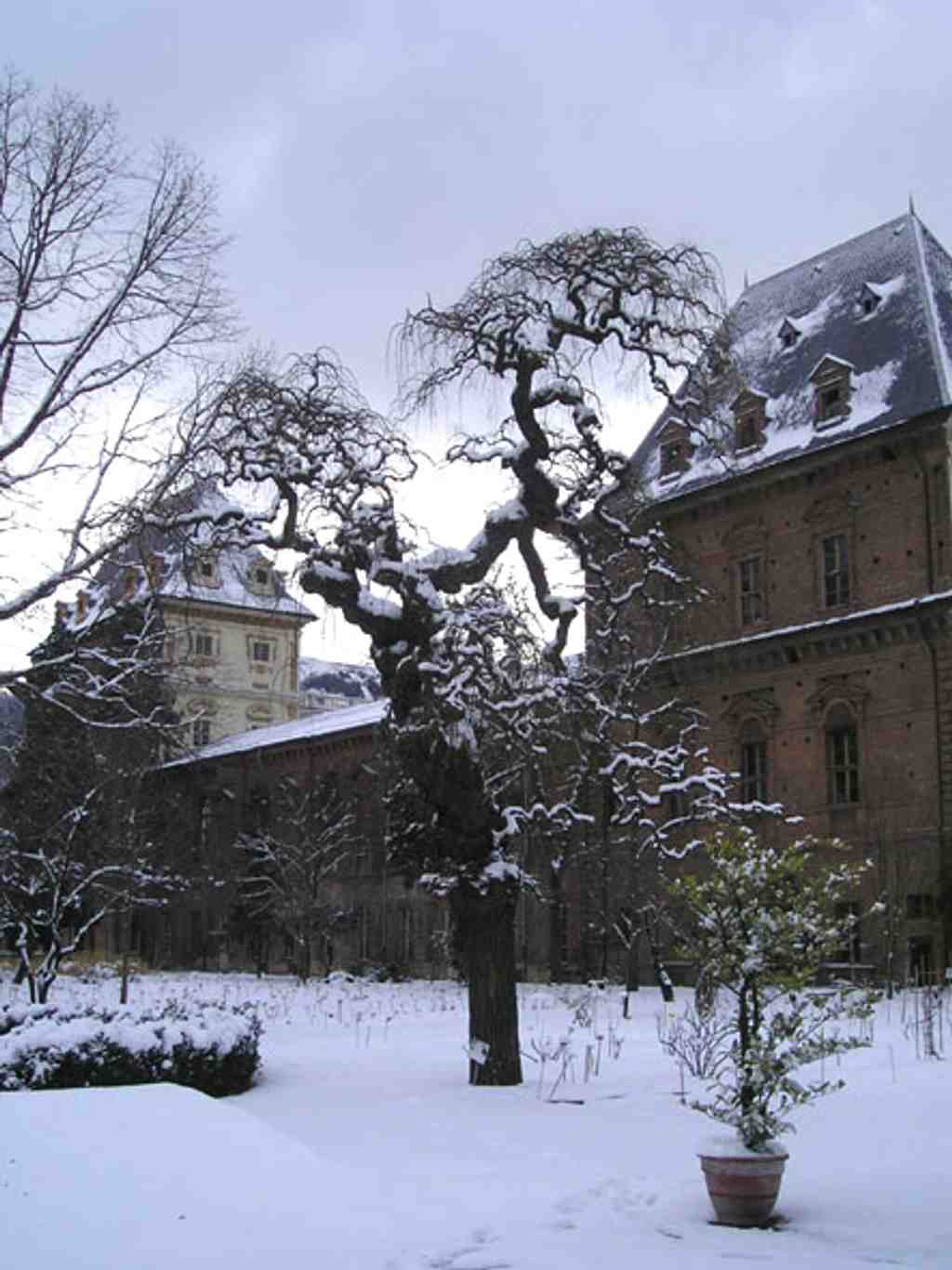 Botanical Garden of Turin - University of Turin