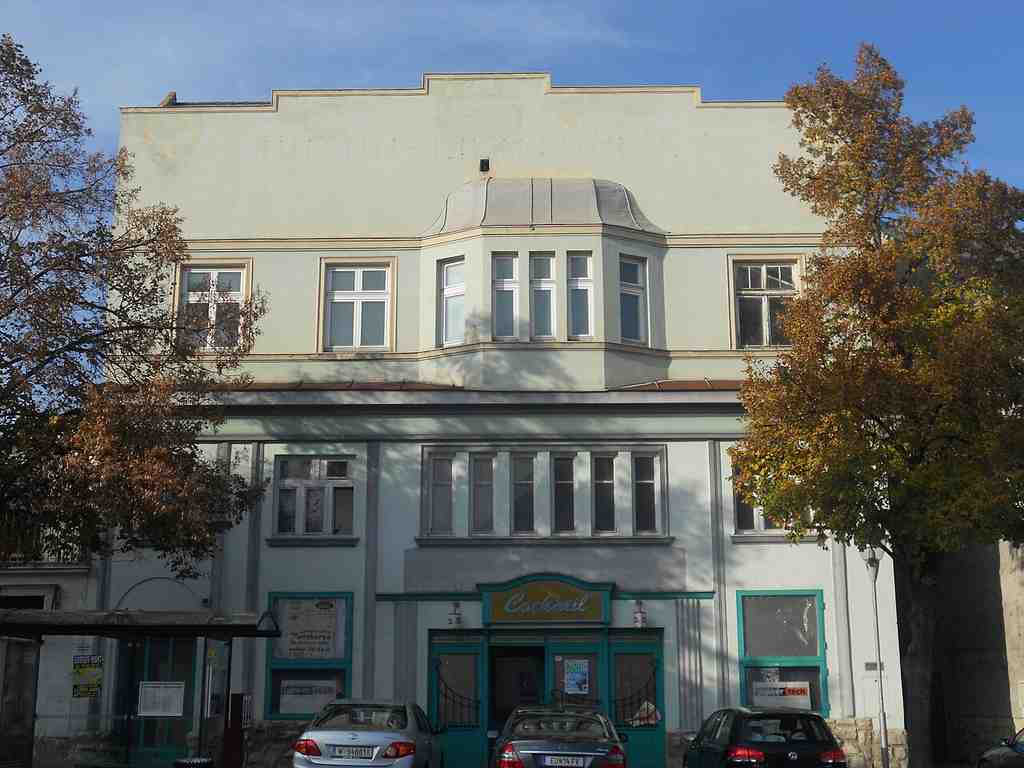 Haydn Cinema