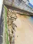 Aos Descobrimentos Portugueses