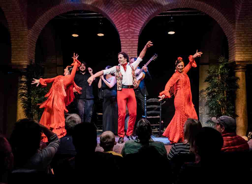 Flamenco Dance Museum