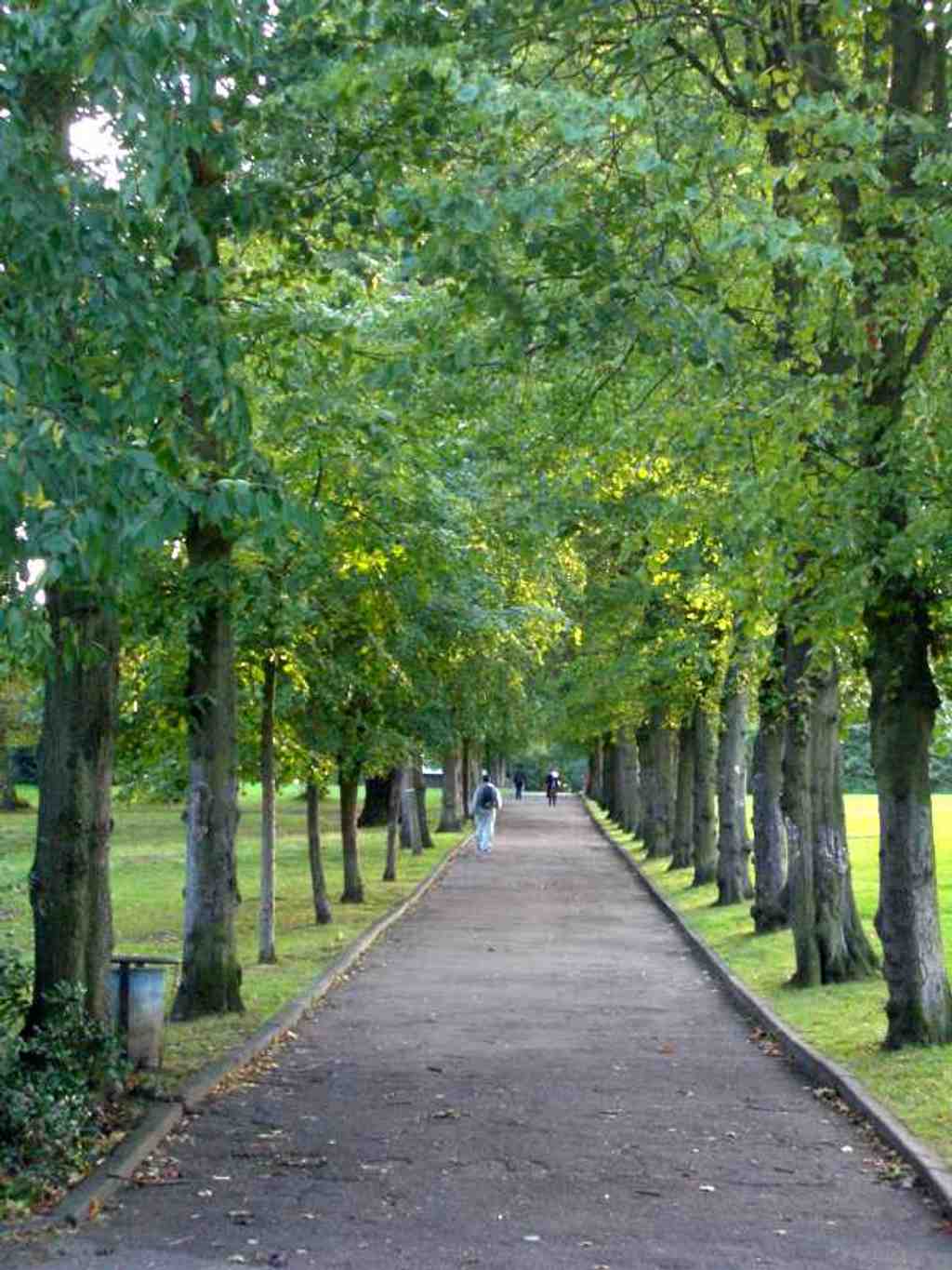 Alexandra Park