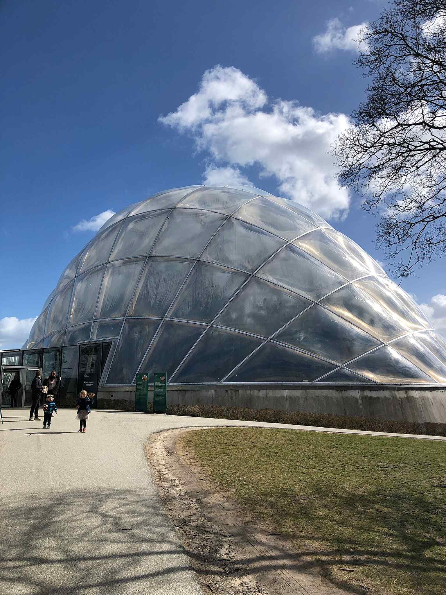 Inside the modern glasshouses of Aarhus Botanical Garden, which reopened after the 2011–14 renovation and now include a tropical house.