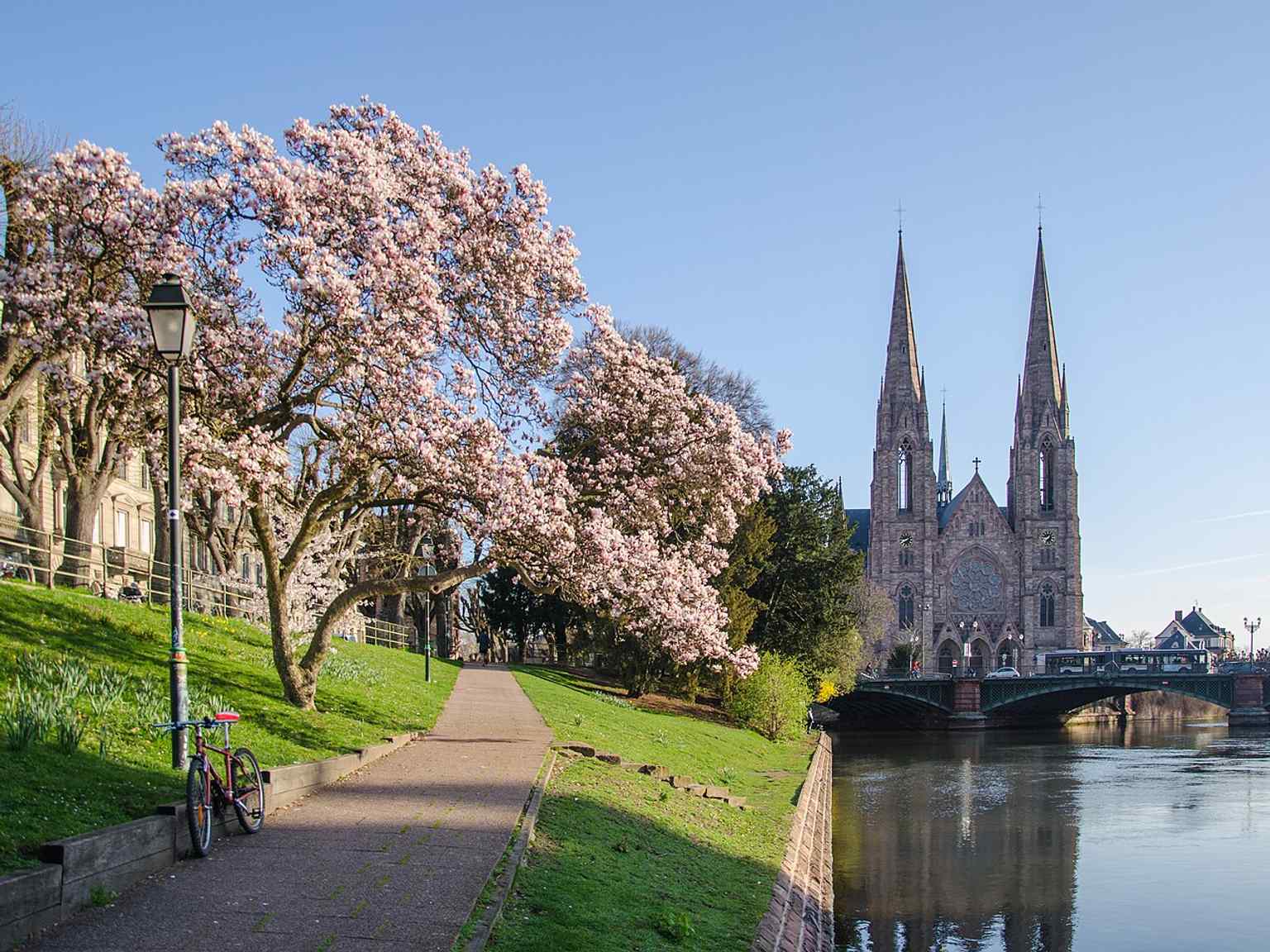 Saint Paul framed by spring blossoms on Quai Koch — a quieter angle that still shows the church’s landmark silhouette.