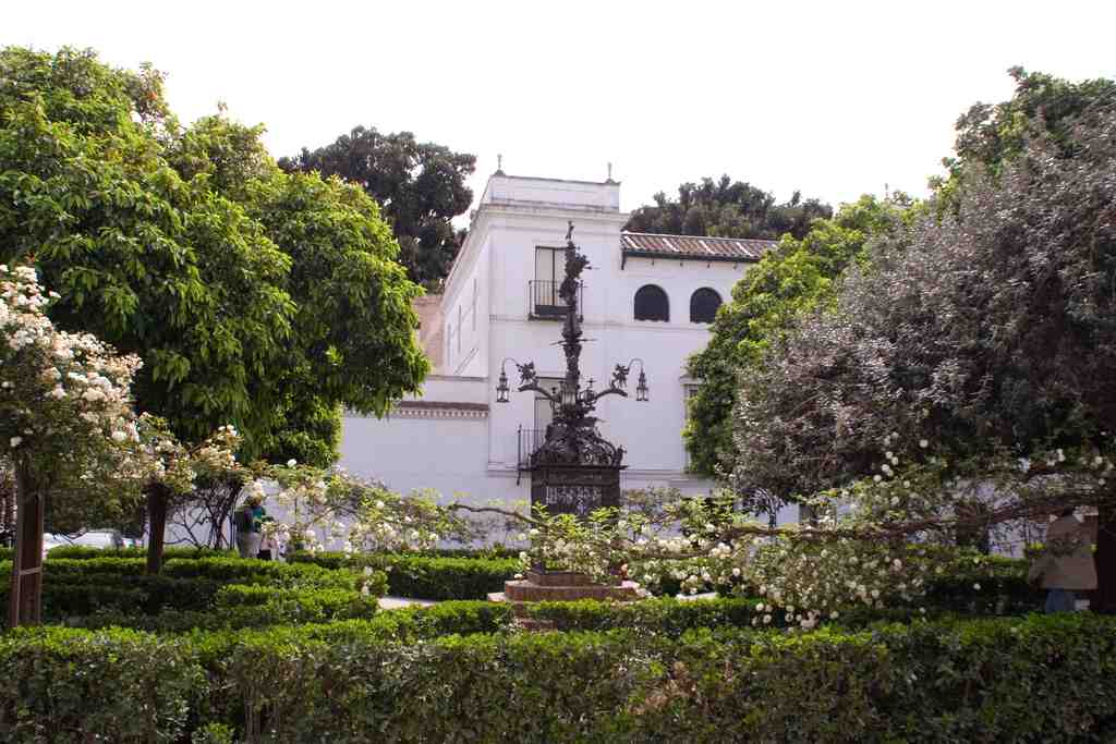 Square of Santa Cruz