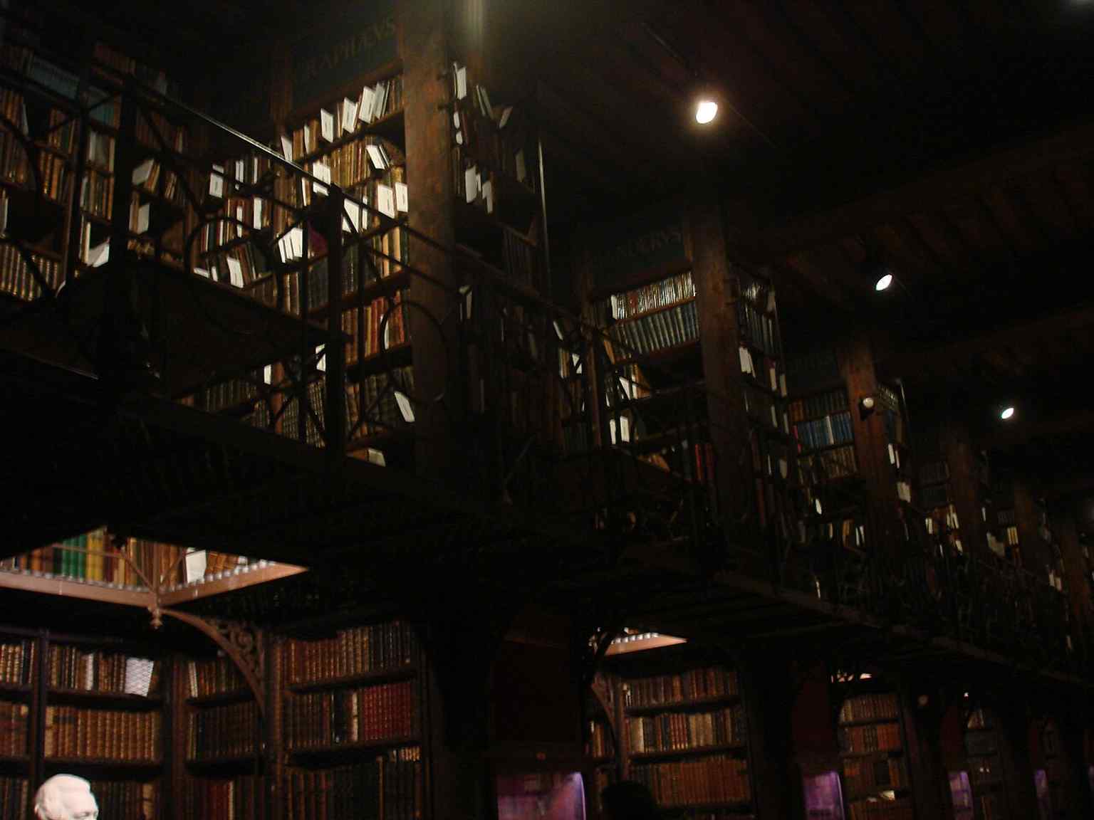 Another view of the Nottebohmzaal, a dramatic historic room above the old stacks in the Sodality building.