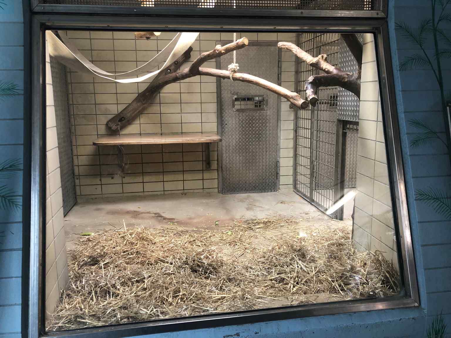 This 'Ape Laboratory' illustrates the modern primate facilities, housing animals like chimpanzees, whose welfare has been a topic of public discussion and PETA campaigns.