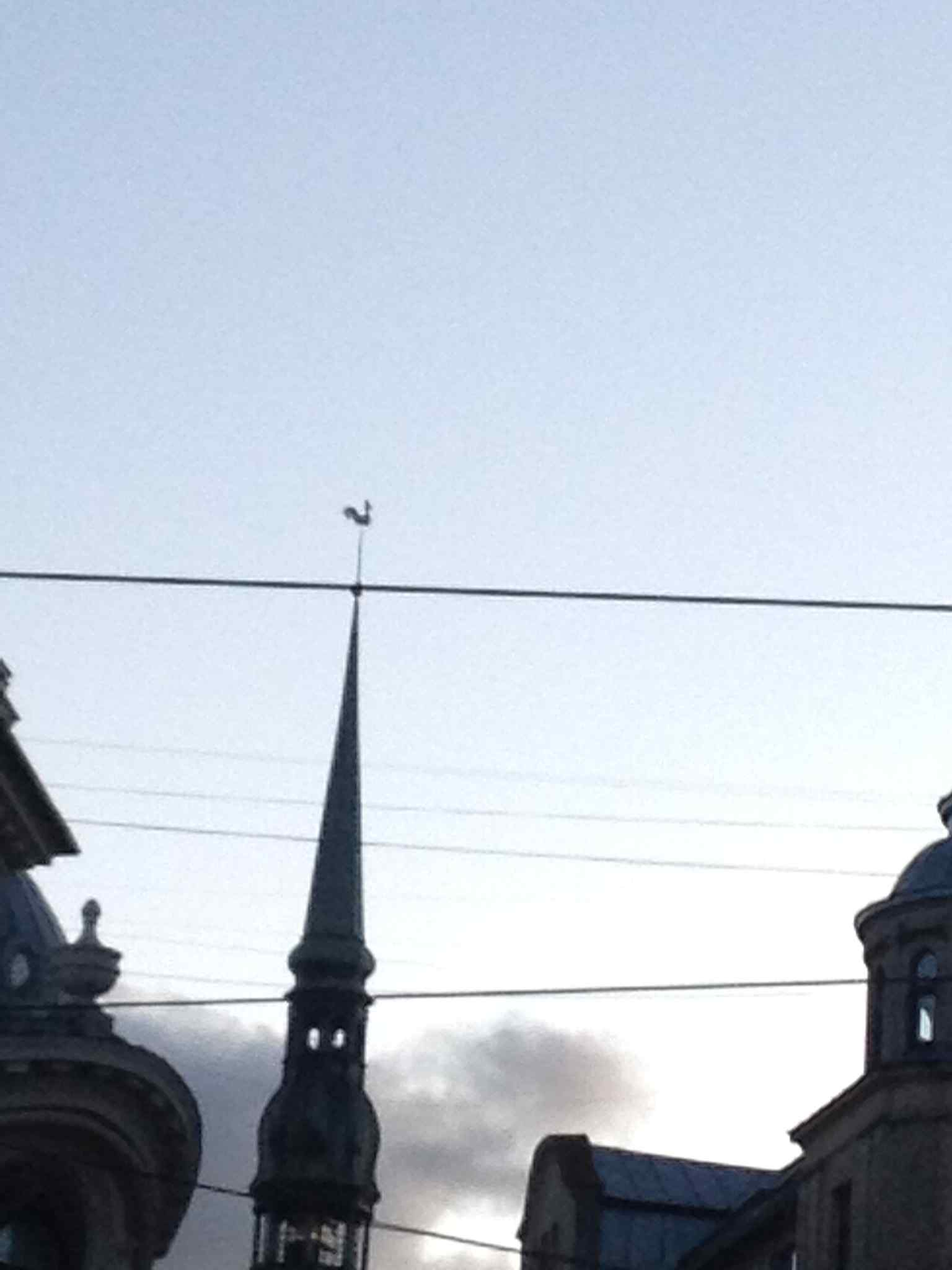 A close look at the weathercock on the spire — the little golden-and-black rooster that once helped Riga merchants read the wind.