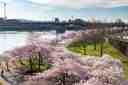 Tom McCall Waterfront Park