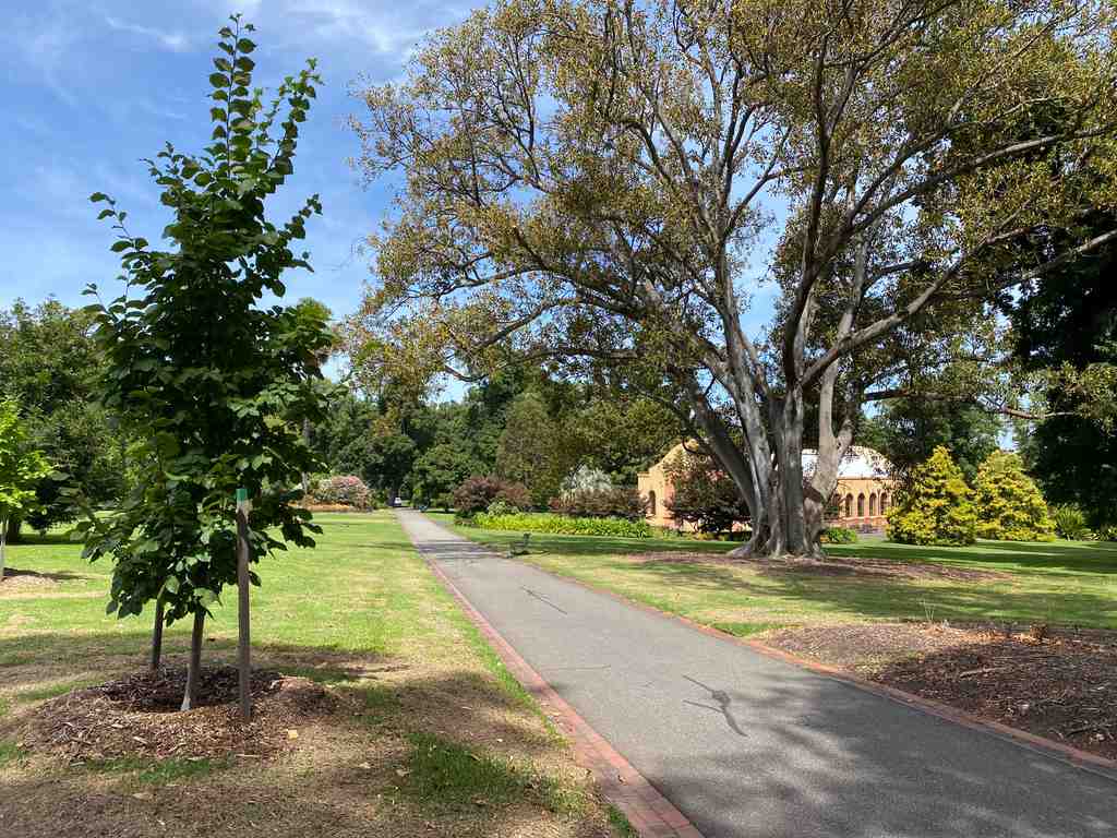 Fitzroy Gardens