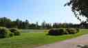 Silk meadow