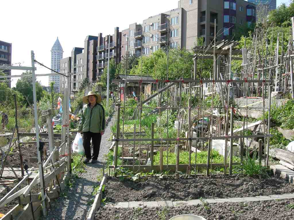 Danny Woo International District Community Garden
