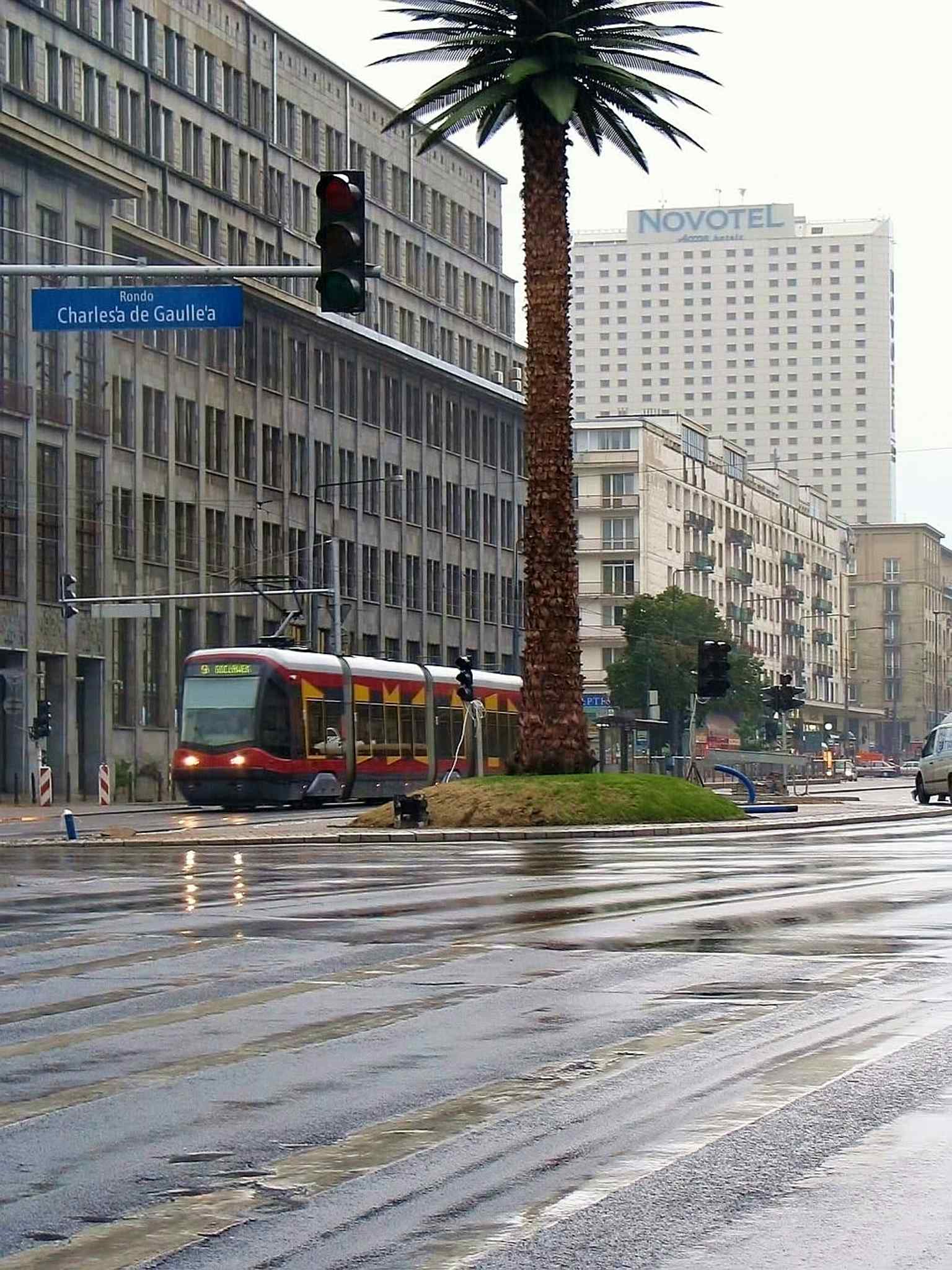 The roundabout seen with tram infrastructure nearby, echoing how the palm became a familiar point of orientation for locals.