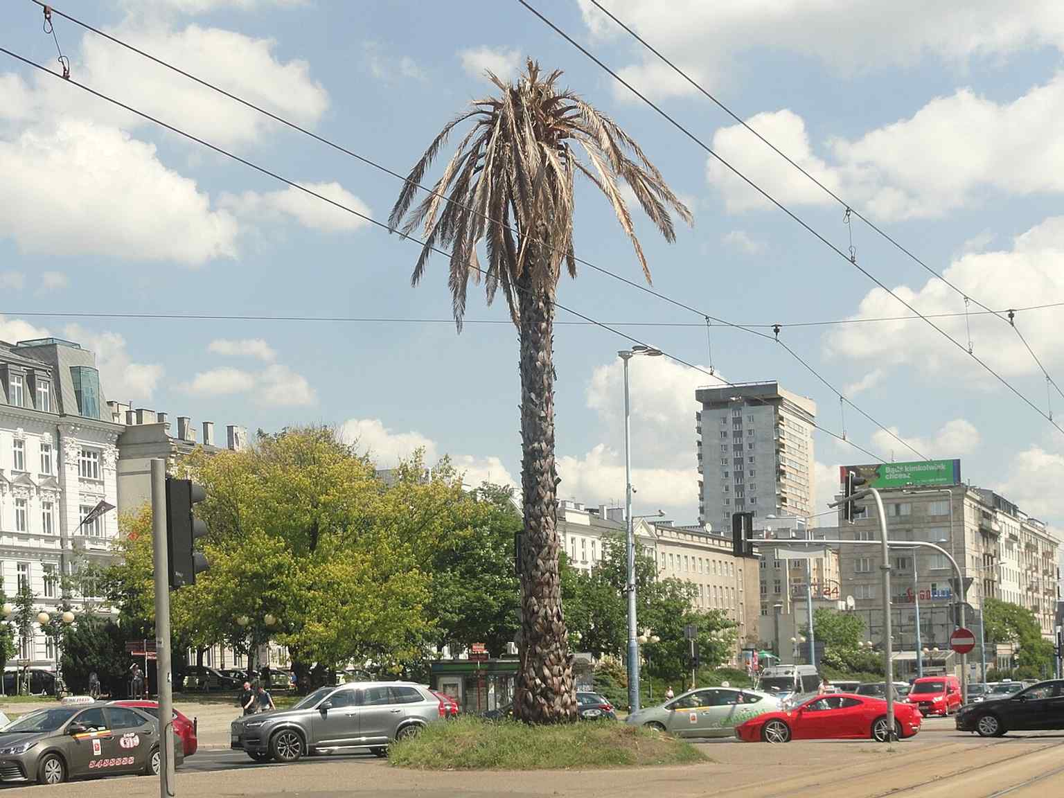 The 2019 climate action version with withered leaves, created to draw attention to ecological collapse on World Environment Day.