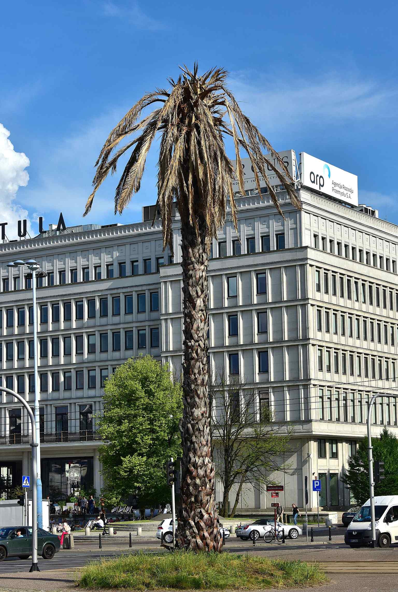 Another 2019 view of the climate-themed installation, when the palm was temporarily dressed with dead leaves as a protest image.