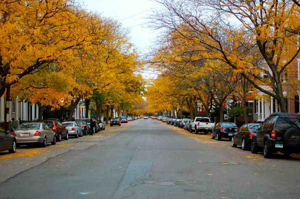 Chestnut Street District