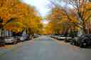 Chestnut Street District