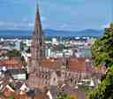 Freiburg Cathedral