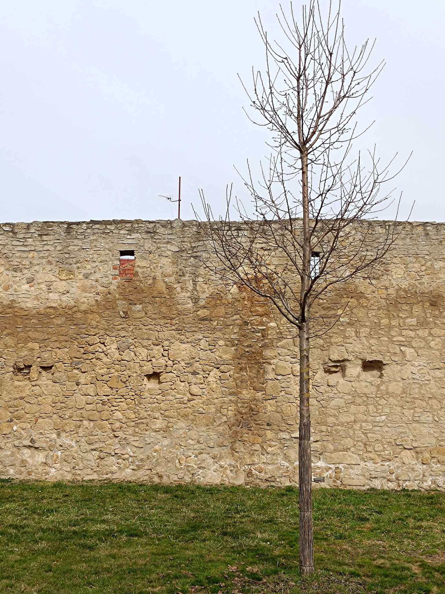 A vertical perspective of the city wall fragment connecting Zborovská and Hradební streets, situated in the vicinity of the former southern Rybničná (Clock) gate.