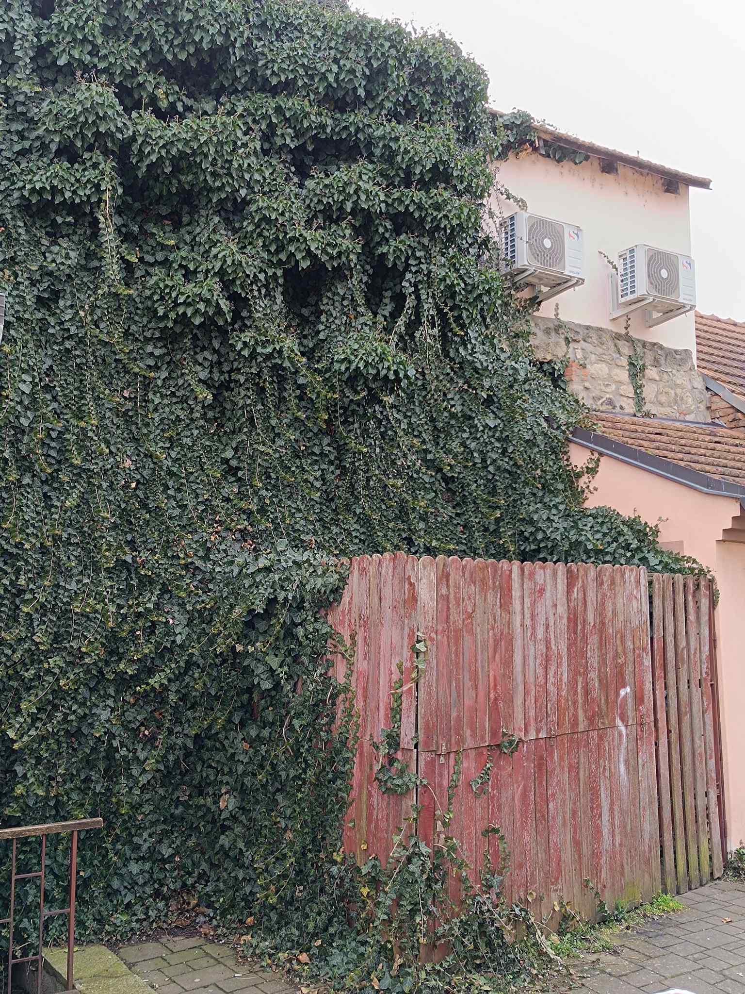 Covered in ivy, this fragment of the city wall in Hradební street illustrates how the ancient fortifications were incorporated into the fabric of later residential buildings.