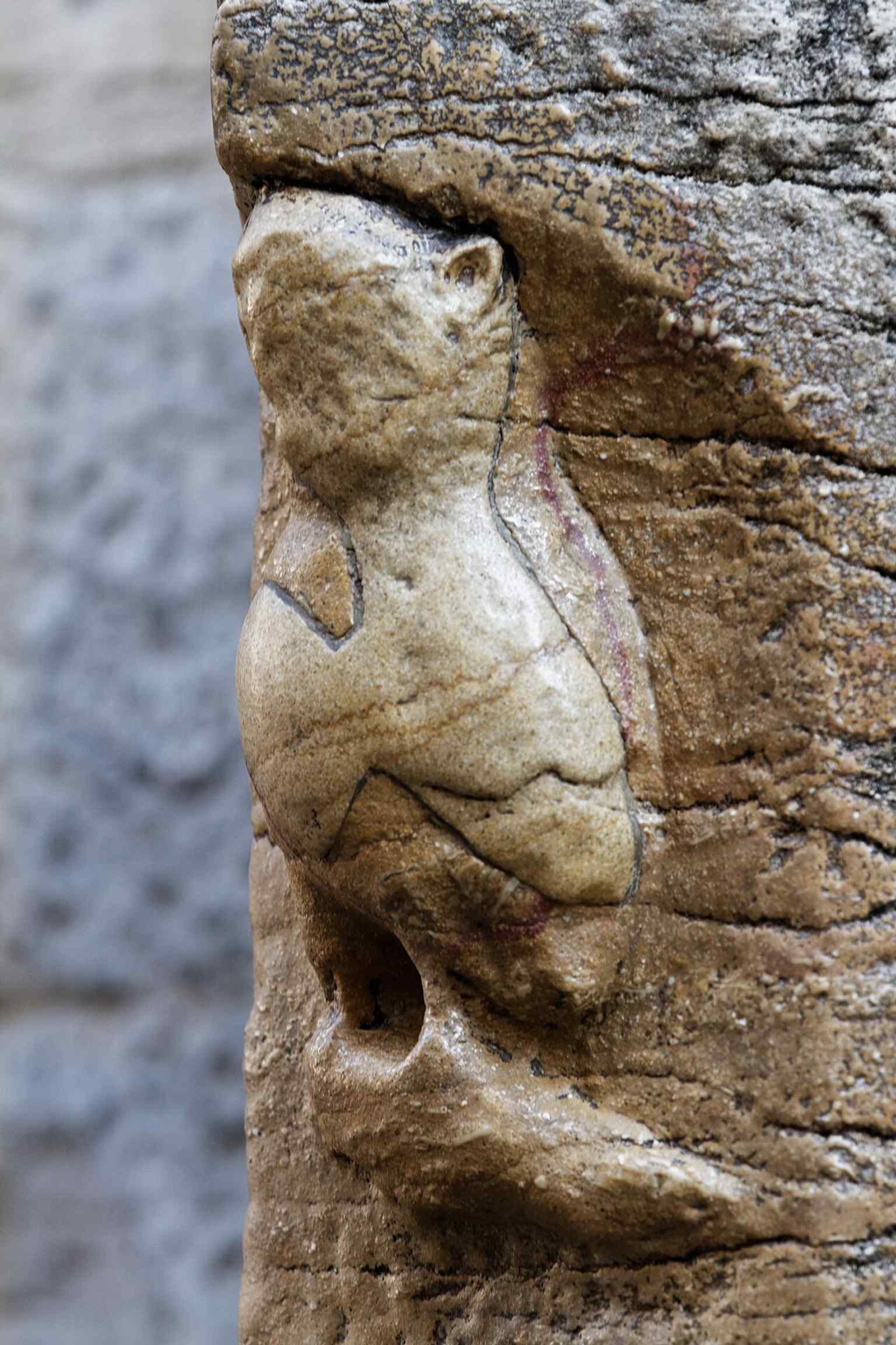 The beloved owl sculpture on the north side of the church, worn smooth by centuries of visitors touching it for good luck and wishes.