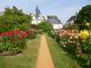 Jardin botanique du Thabor