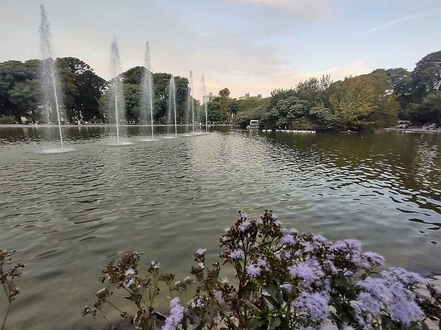 This central fountain is part of the 2006 renovation that aimed to restore the park, introducing a new artificial lake and a biological island with diverse wildlife.