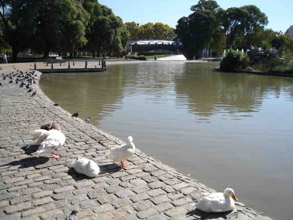 Centennial Park