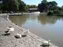 Centennial Park
