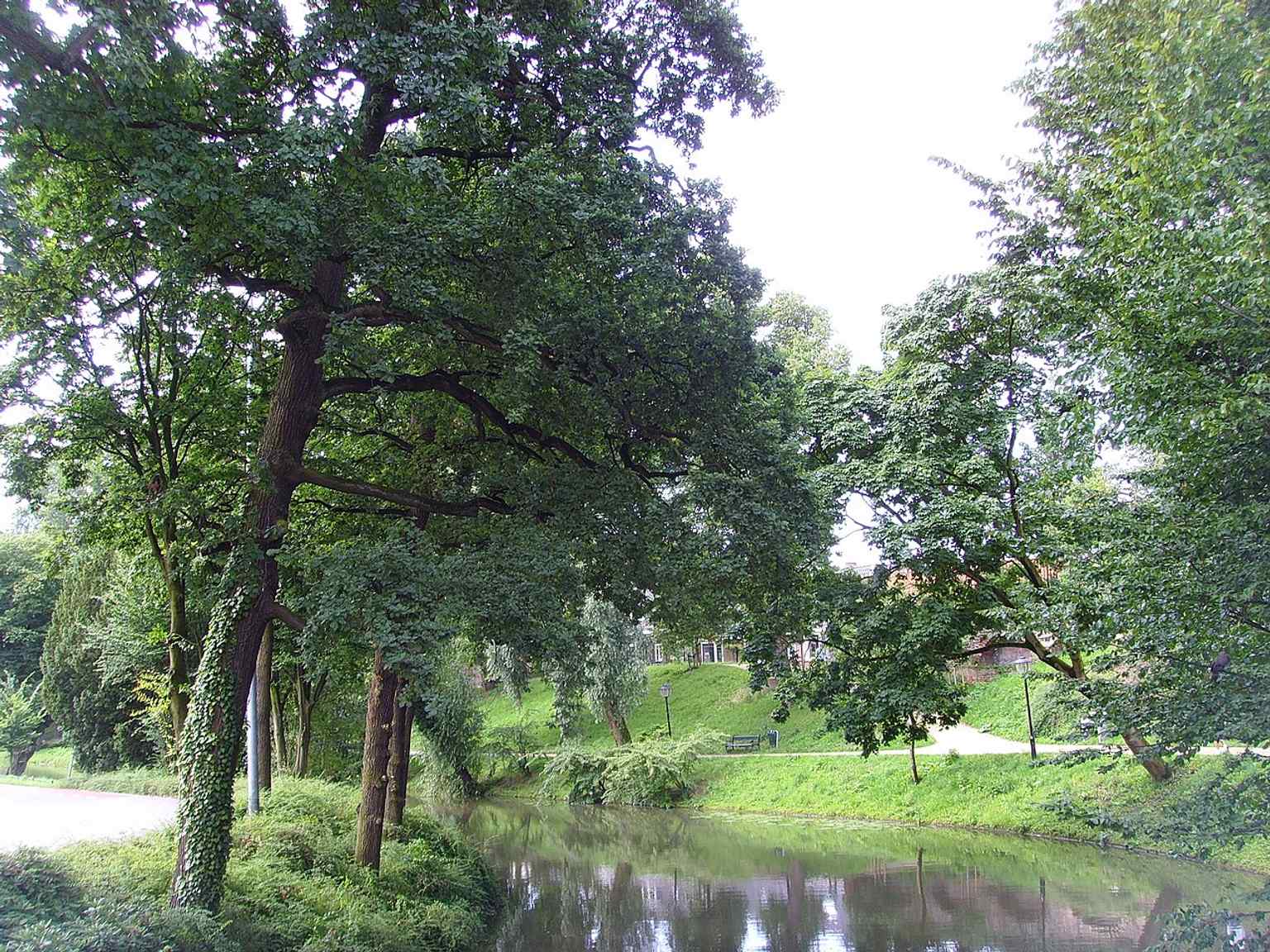 This modern view of the Maliesingel from Lucasbolwerk shows a section of Zocherpark, a city park designed by Jan David Zocher jr. in the 19th century.