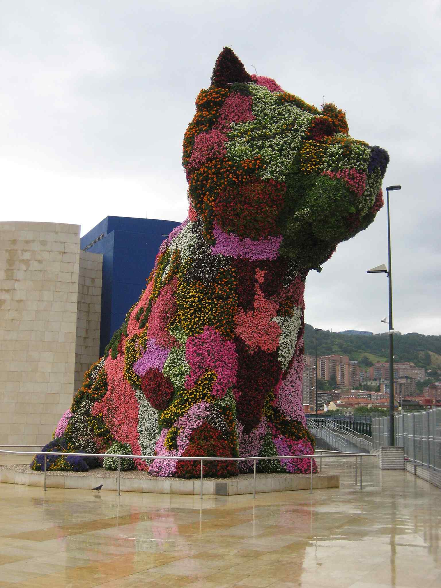 A tall, close outdoor view that emphasizes Puppy’s massive scale and the living carpet of plants that changes through the seasons.