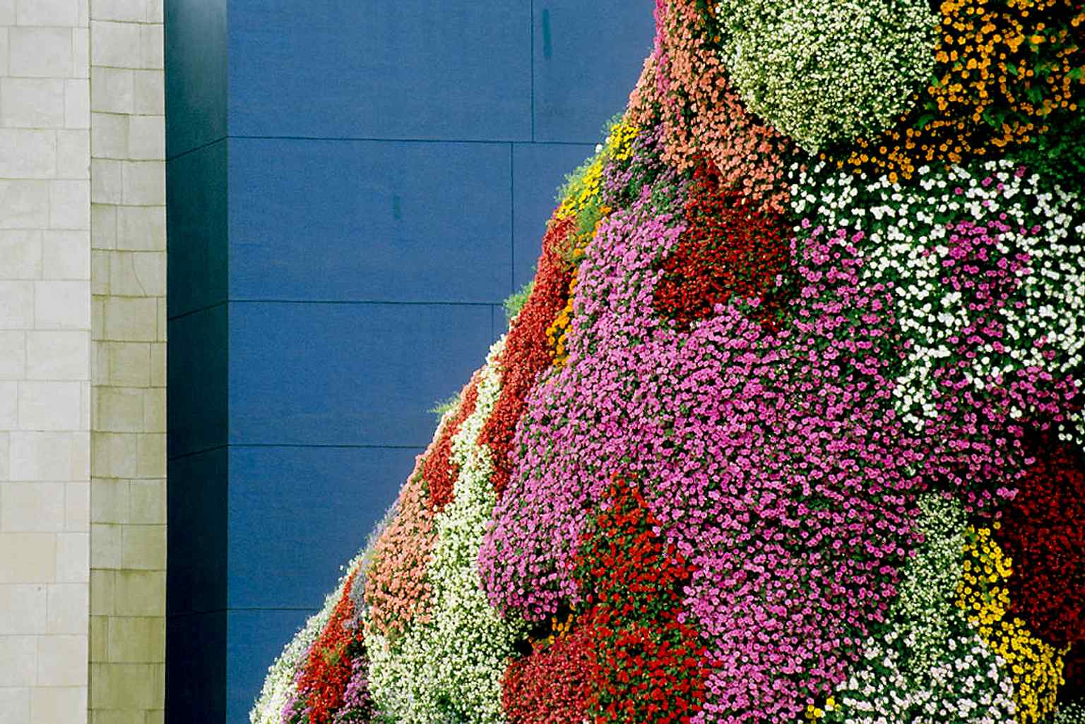 A closer look at Puppy’s floral surface, where thousands of plants form the terrier’s coat and are renewed twice a year.