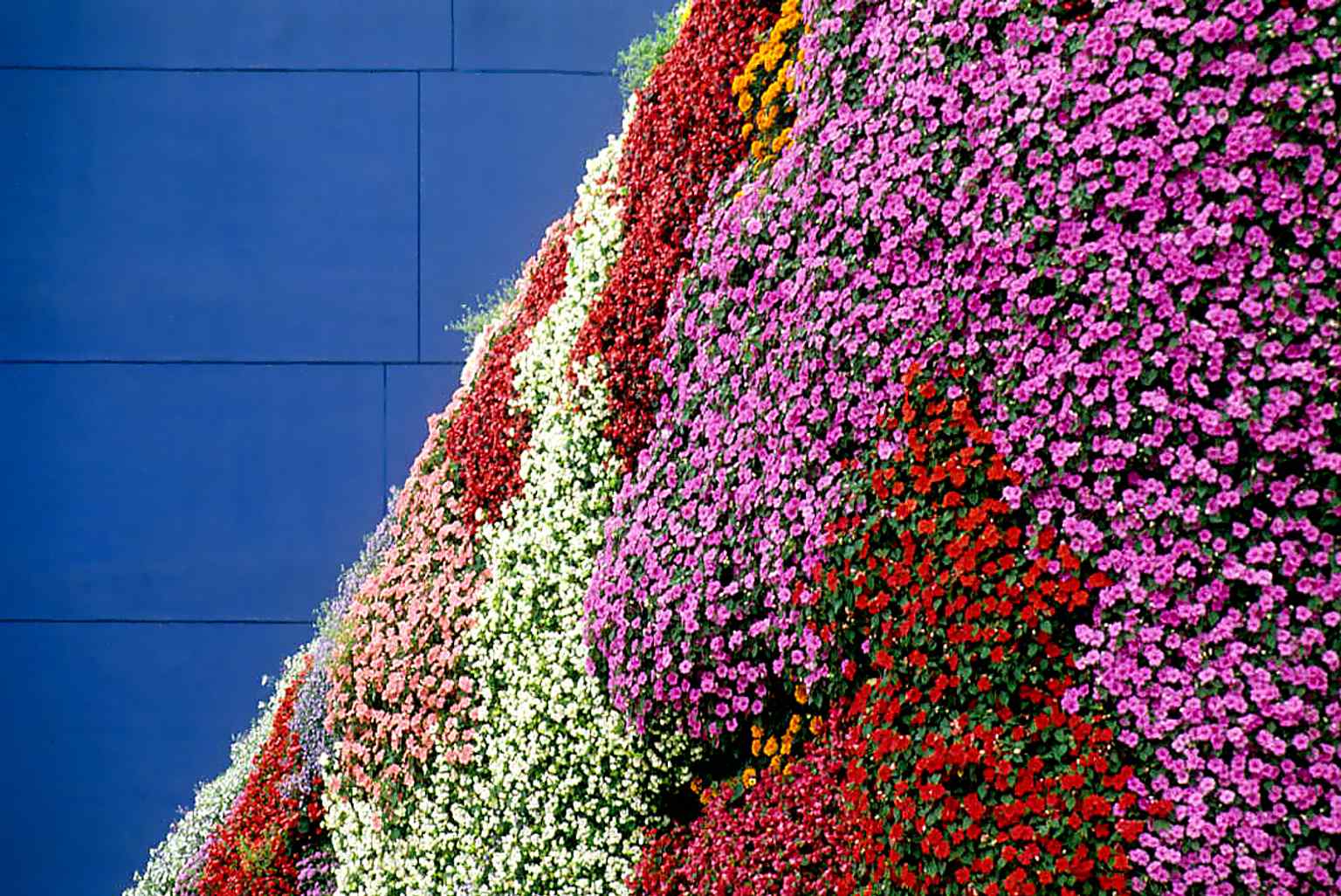 Another detail view of the living flower skin, useful for showing the sculpture’s hand-built, seasonal texture up close.