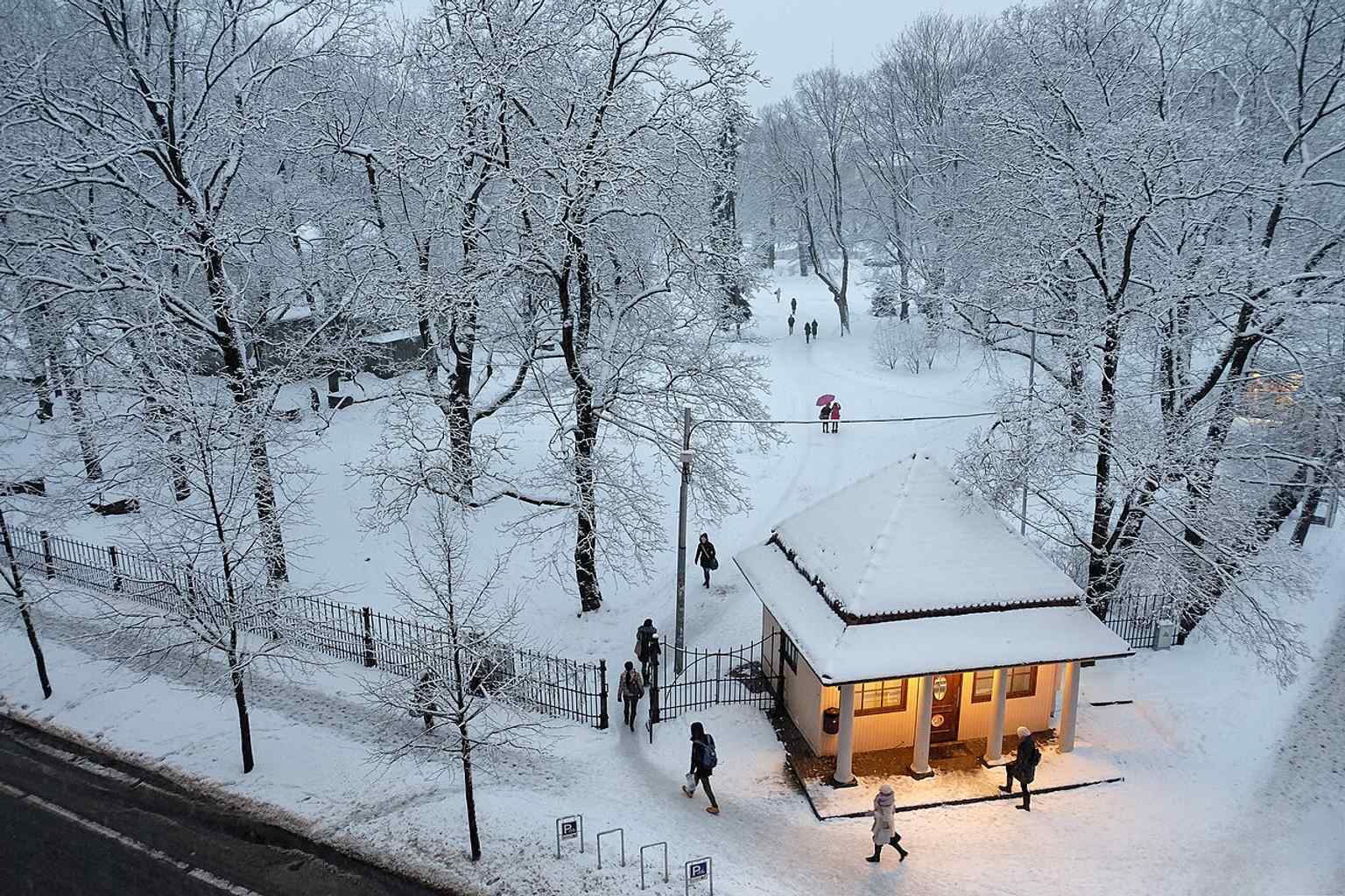 A winter overview of Vērmane Garden shows how the old city park still anchors central Riga, even under snow.