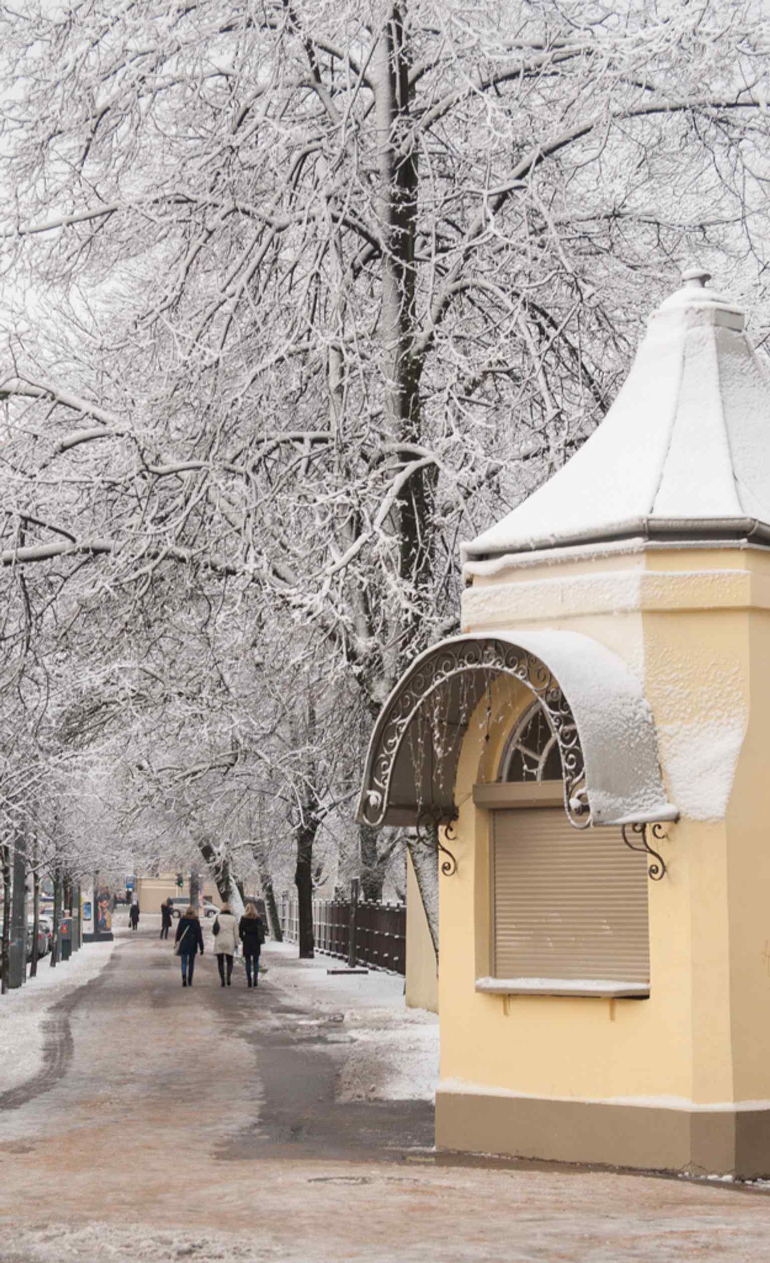 The entrance kiosk gives a close look at the park’s public-facing features and everyday life at Vērmane Garden.