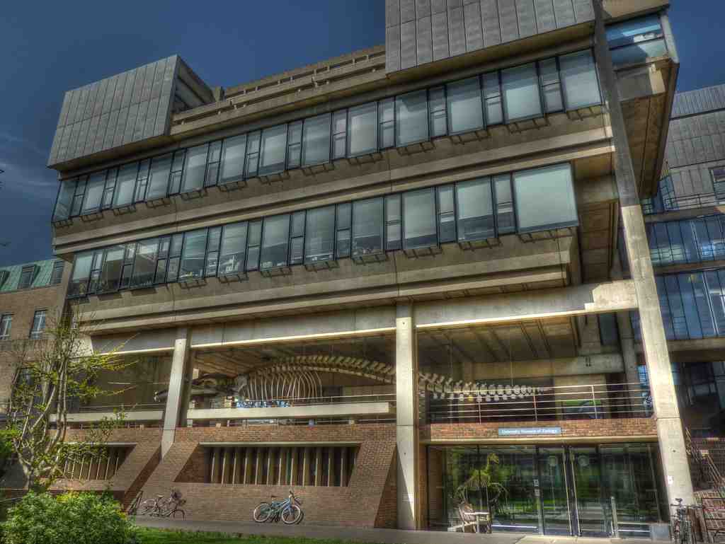 University Museum Of Zoology