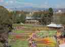 Commonwealth Park