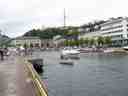 Fløyheia